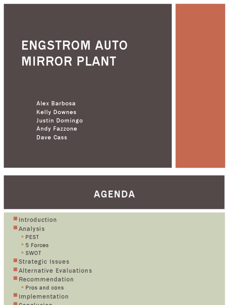 Engstrom auto mirror plant final project image