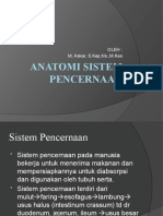 Anatomi Sistem Pencernaan 1-1