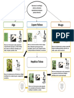 Diagrama Practica 3