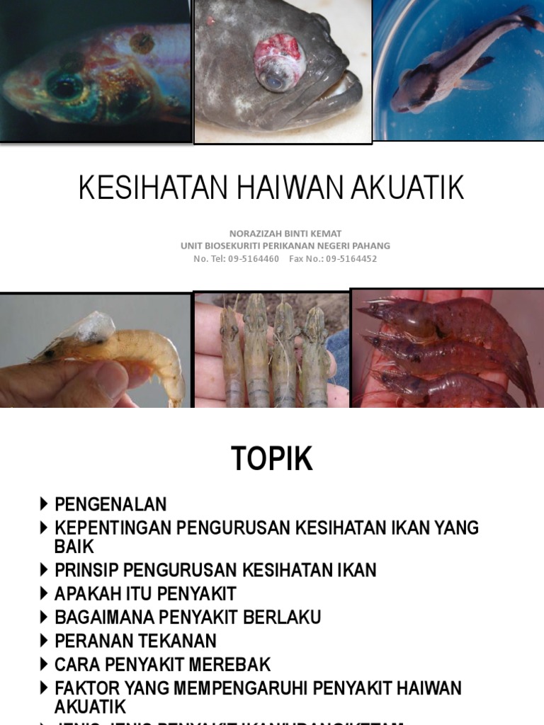 Kesihatan Haiwan Akuatik Pdf