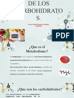 Metabolismo de Los Carbohidratos