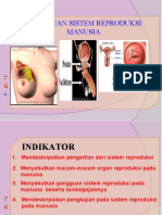 GANGGUAN-SISTEM-REPRODUKSI