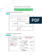 Cuestionario Bioquimica Practica