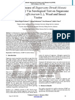 Virus (SCSMV) Via Serological Test On Sugarcane