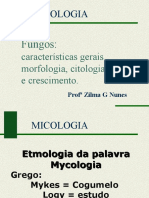 Aula 1 - Bio 251 - Fungos - Características Gerais, Importância, Citologia