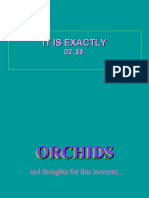Orchidsandthoughts