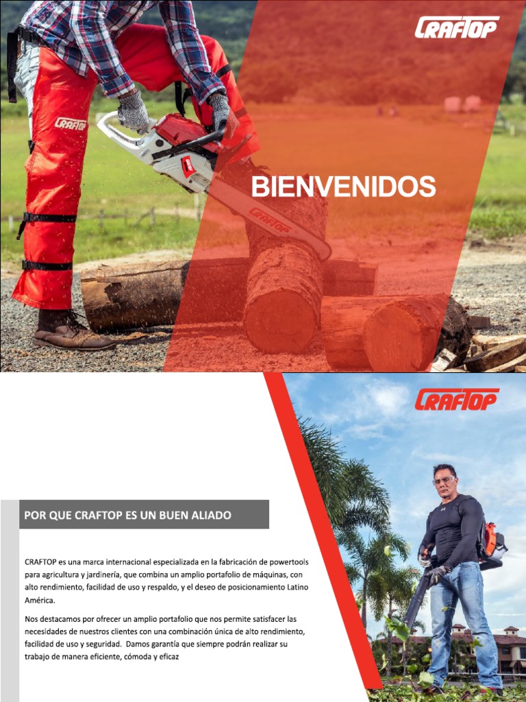 Motosierras y desbrozadoras Craftop | PDF | Bomba | Bienes manufacturados