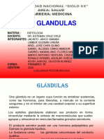 Gland Ulas