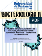 BACTERIOLOGIA CUADRO PRUEBAS 2