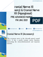 10 Cranial Nerve XI (Accessory) & Cranial