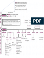 Mapa Conceptual Del Sistema Endocrino