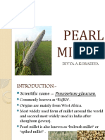 The Pearl Millet - BAJRA