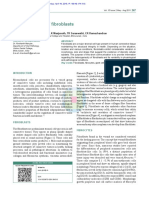 Heterogenecity of Fibroblasts