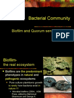 Bacterial Community: Biofilm and Quorum Sensing Control