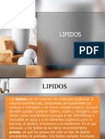 presentacion_lipidosclase