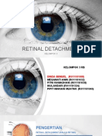Kelompok 3 Retinal Detachment