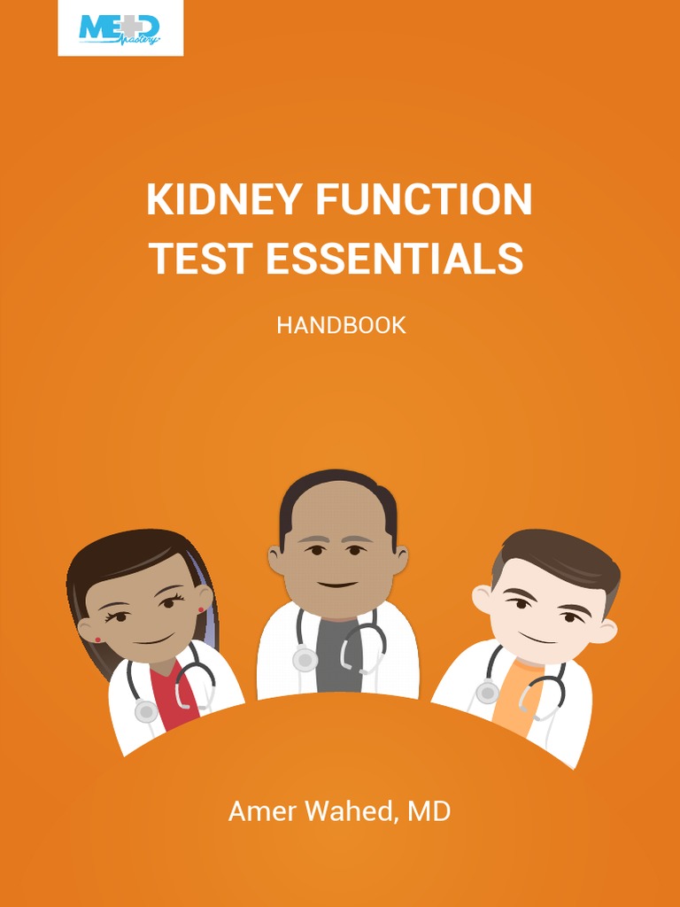 Kidney Function Test Essentials Handbook | PDF | Creatinine | Kidney