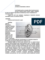 Notiuni de Anatomie Si Fizionomie A Urechii
