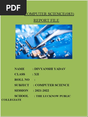 Report File