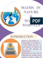 Maths in Nature & Maths Marvels
