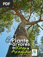 Plante_arvores_Xingu_Araguaia-guia-ISA
