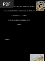 Download PEDICULOSIS by Juan Hernandez El Rata SN52938633 doc pdf