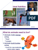 AP Bio Digestion System(Kfogler)