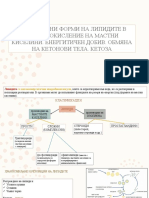 1. Окисление на мастни киселини