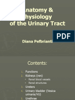 Anatomy & Physiology URINARY TRACT
