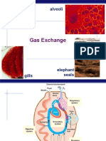 AP Bio Gas Exchange/respiratory system (KFogler) 