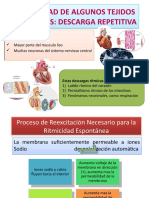 Ritmicidad de Algunos Tejidos