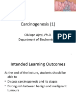 Stages of Carcinogenesis and Tumor Types