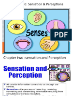 Chapter Two: Sensation & Perceptions