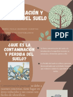 Contaminacion y Perdida Del Suelo