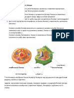 6 Разлике међу ћелијама- обрада