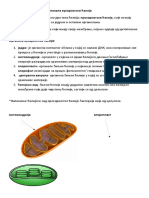 Ћелијске органеле еукариотске ћелије- 6. разред