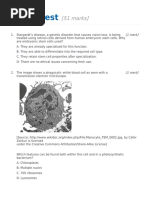 Topic 1 Test