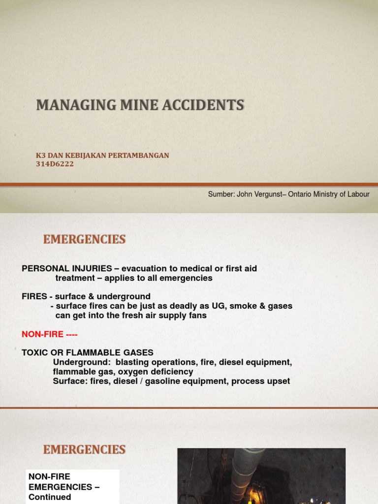 Managing Mine Accidents K3 Dan Kebijakan Pertambangan 314D6222 PDF
