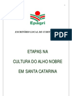 Estapas Da Cultura Do Alho