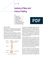 02 - Anatomy of Bone and Fracture Healing