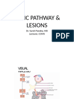 Optic Pathway and Lesions