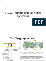 Protein Sorting and The Golgi Apparatus