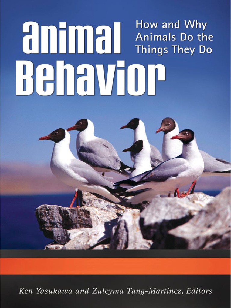 miruku University of Miami - Ibis Yearbook (Coral Gables, FL