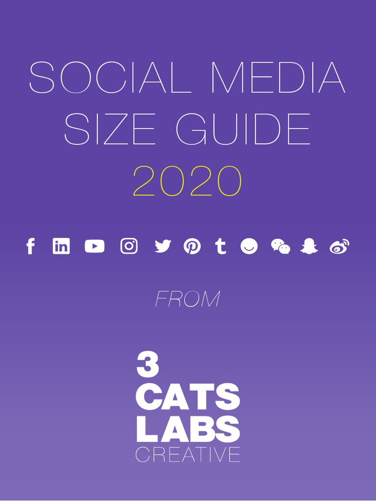 Social Media Image Size Guide 2020 | PDF | Pixel | Display Resolution