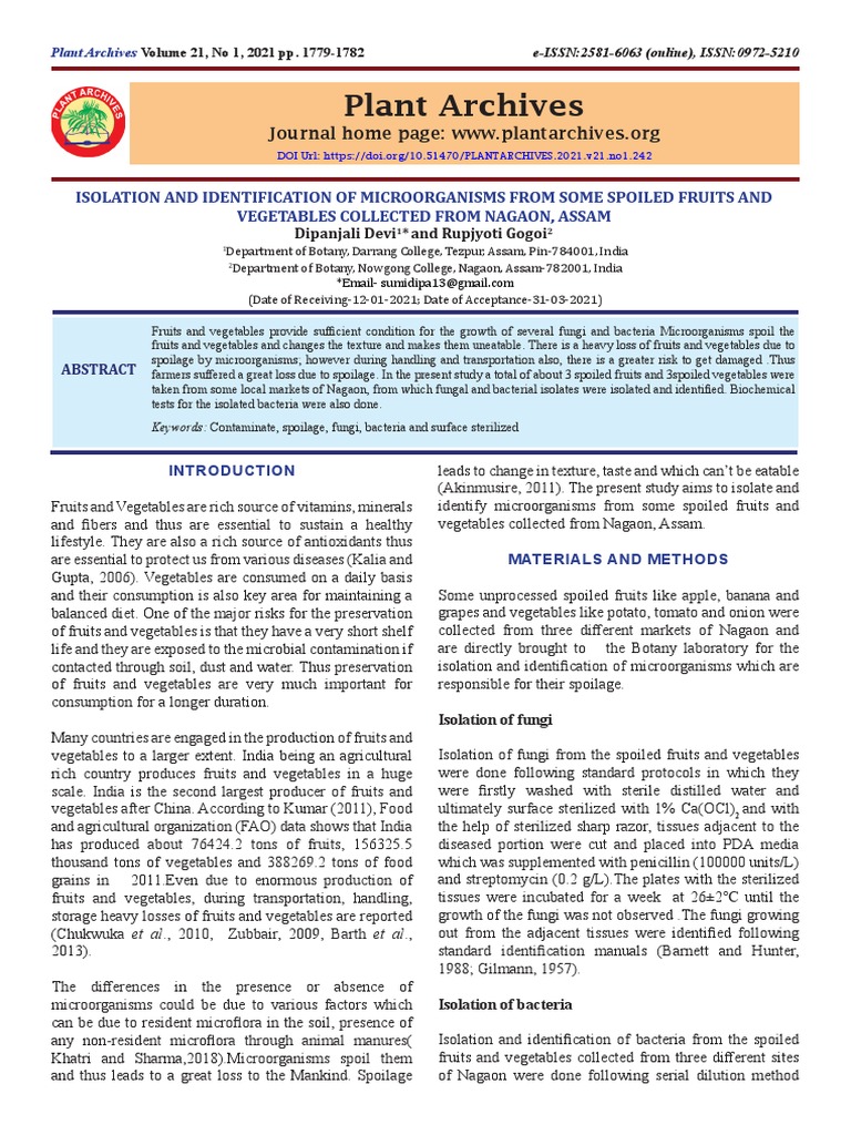 Isolation and Identification of Microorganisms Fro | PDF | Bacteria ...