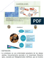 Amebiasis en Abejas