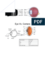 Eye Vs Camera