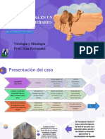 Presentacion Caso Clinico Mico