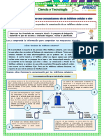 Ficha Ciencia y Tecnología 28-09