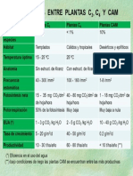 Diferencias Entre Plantas C3, C4 y CAM